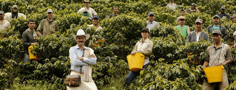 photo for coffee-flavor-by-altitude post