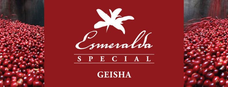 ES-GEISHA-1280x