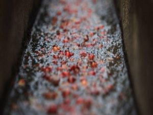 水洗 咖啡豆