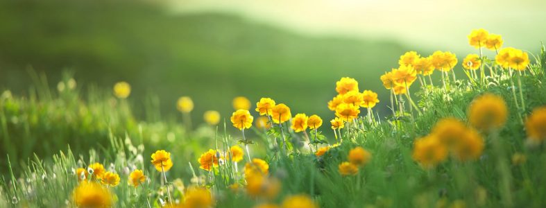 spring2020-min