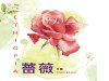 【茉莉花、百香果、伯爵茶】衣索比亞 古吉 罕貝 薔薇︱日曬豆 (200g)